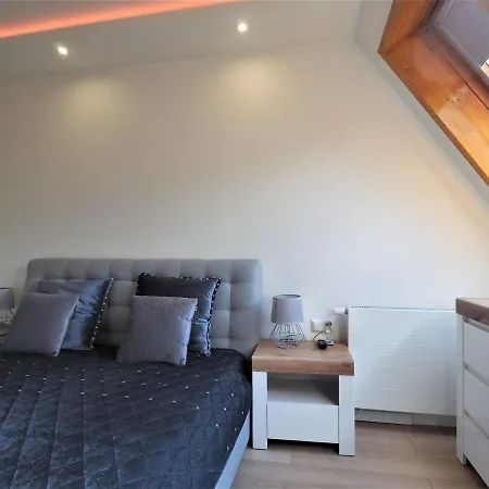 Apartment Vip Centrum Przy Rowni