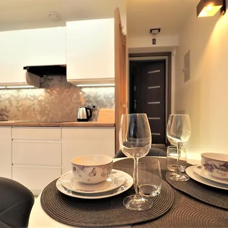 Vip Centrum Przy Rowni Zakopane